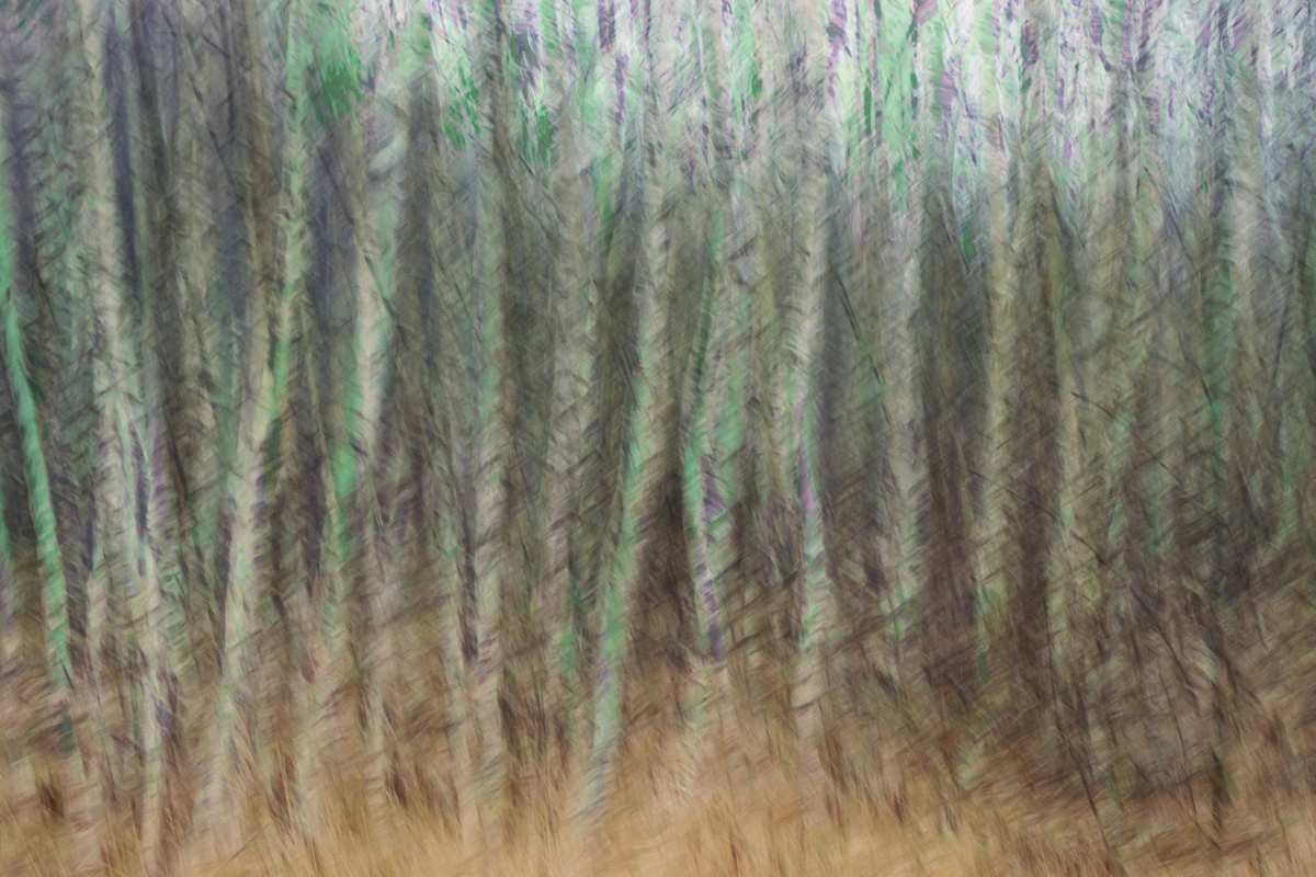 August by Marcel Kruse, Image 10.