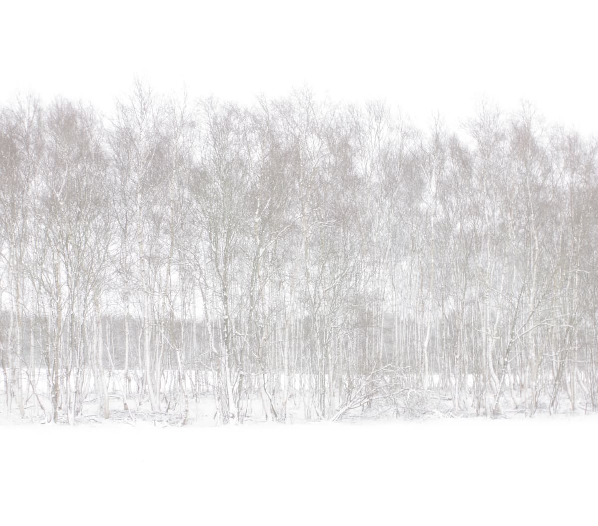 Dezember by Marcel Kruse 