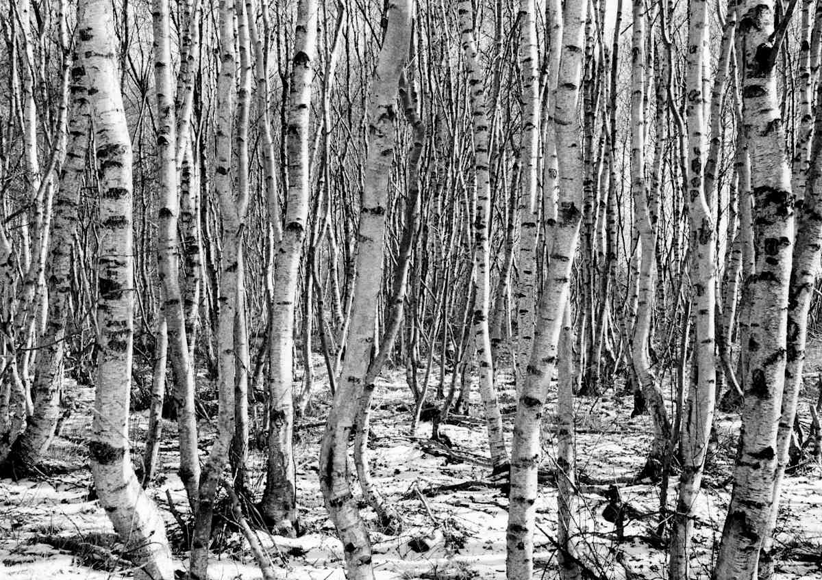 Februar by Marcel Kruse, Image 9.