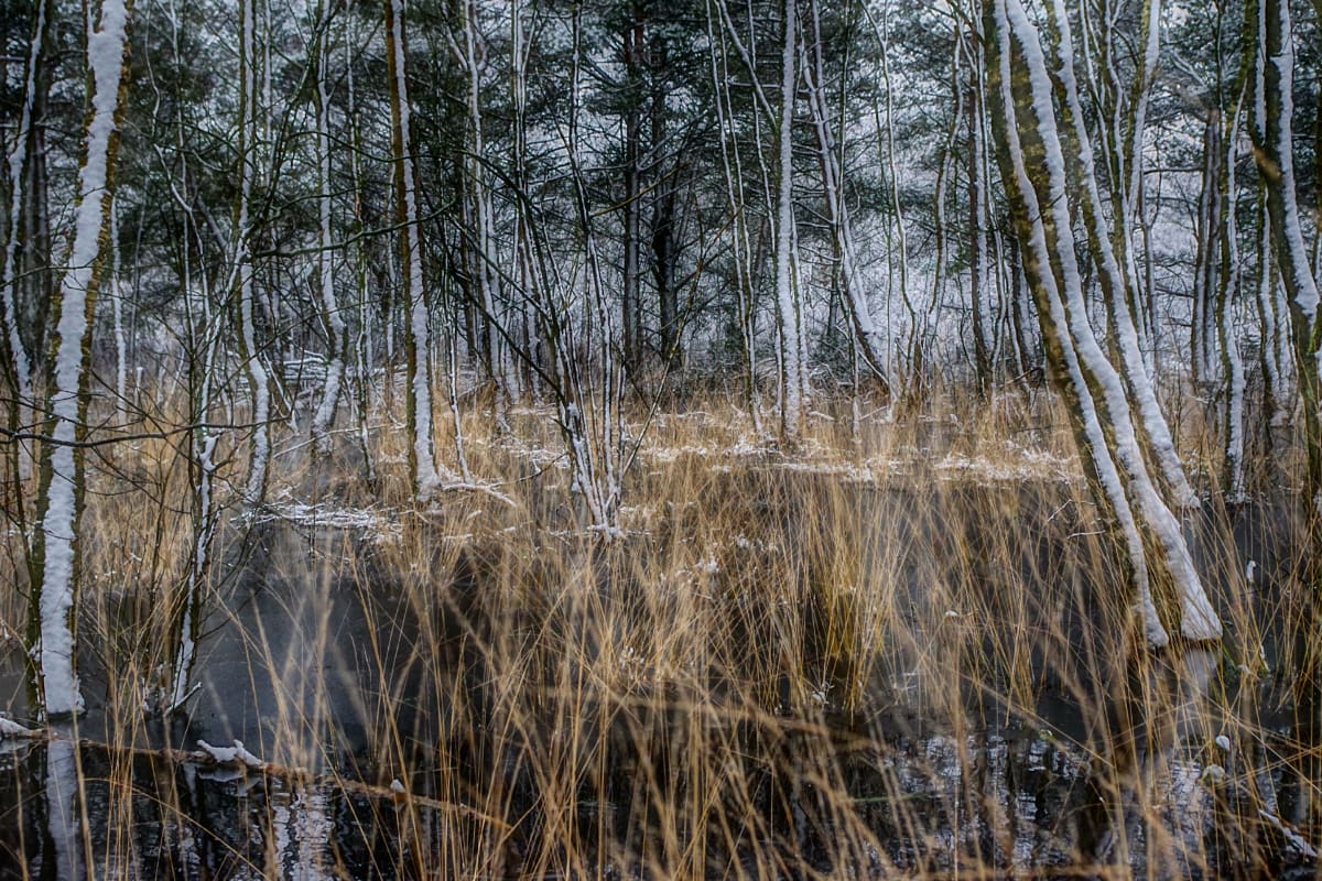 Januar by Marcel Kruse 