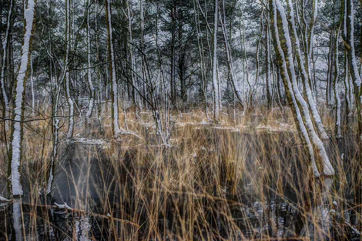 Januar by Marcel Kruse, Image 1.