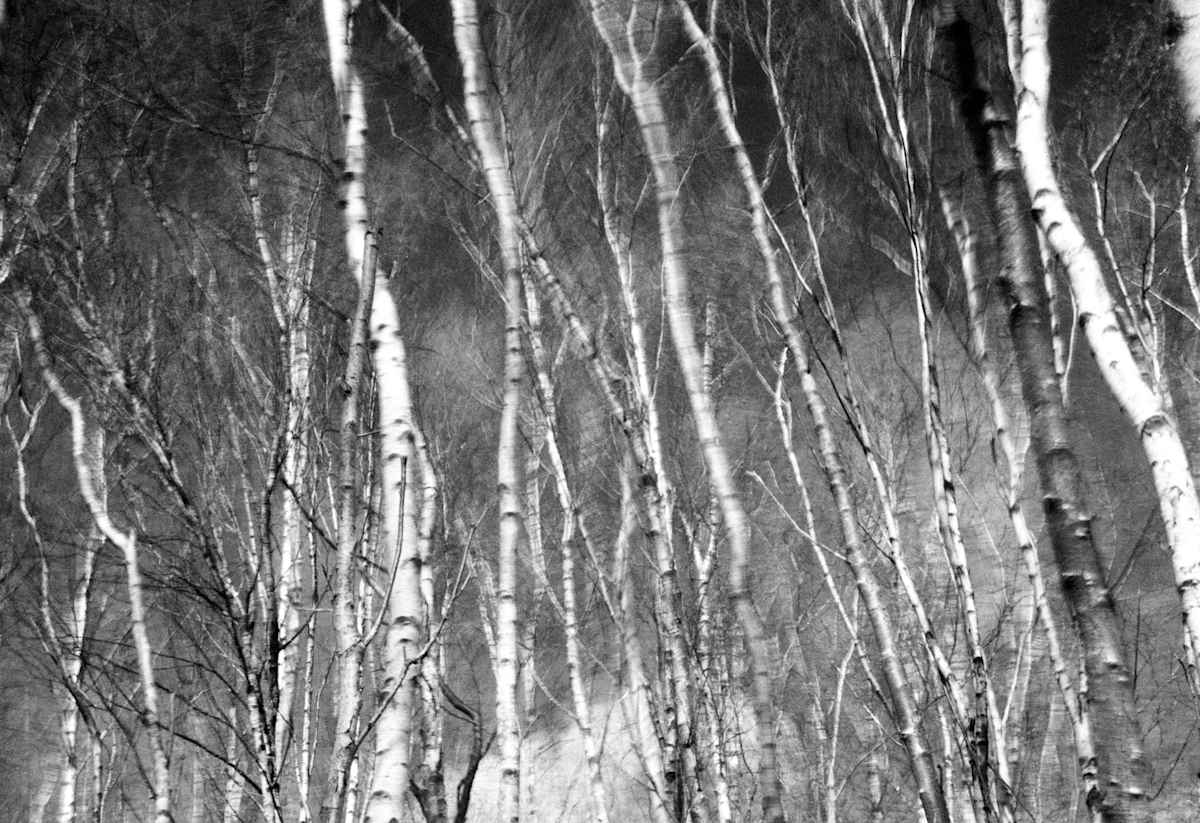 Juni by Marcel Kruse, Image 11.
