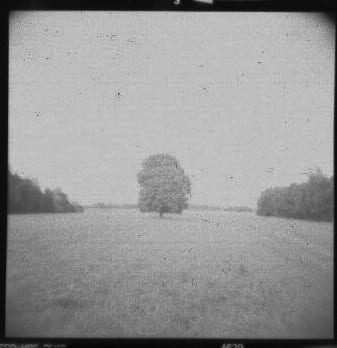 Kastanie by Marcel Kruse 