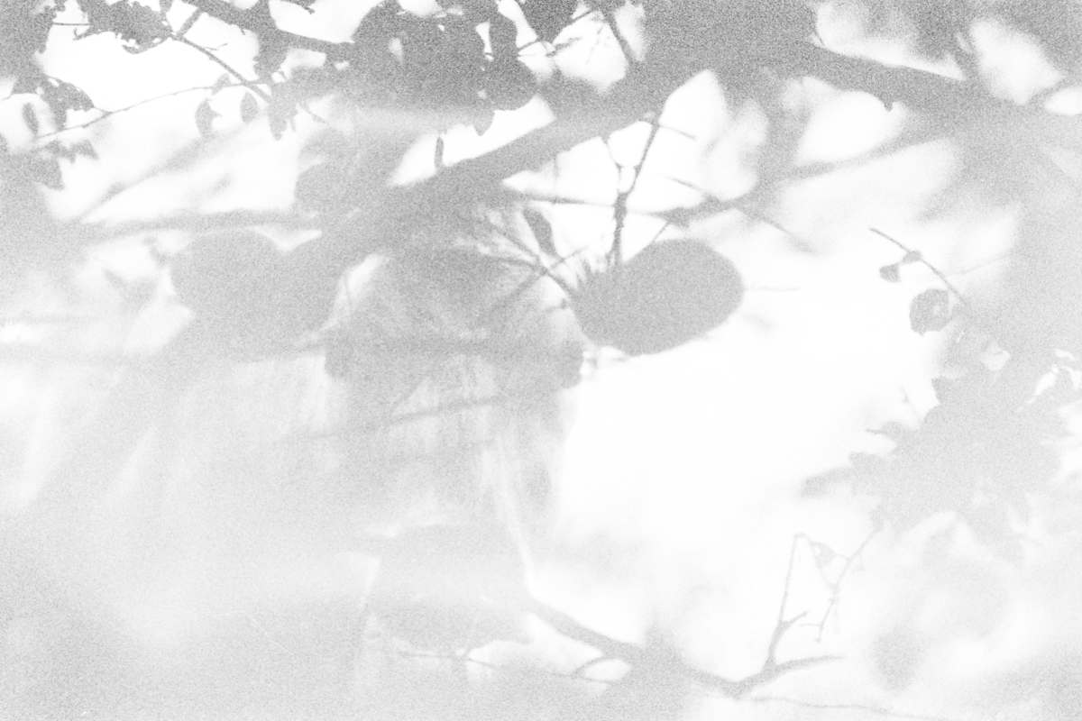 Kuh High Key by Marcel Kruse, Image 1.