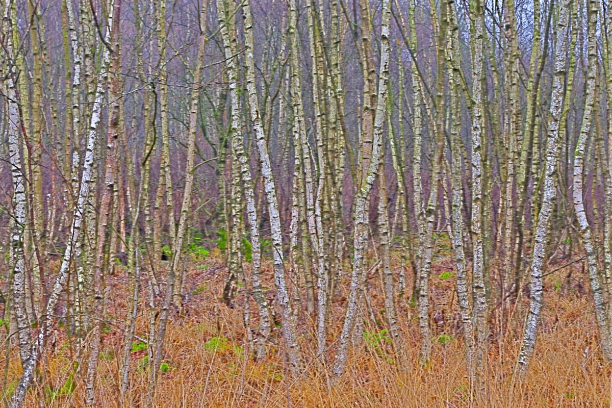November by Marcel Kruse 