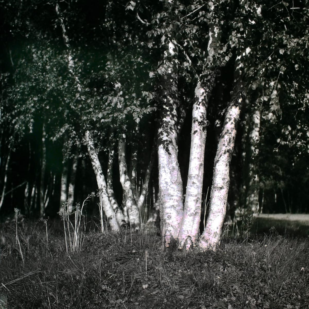 September by Marcel Kruse 