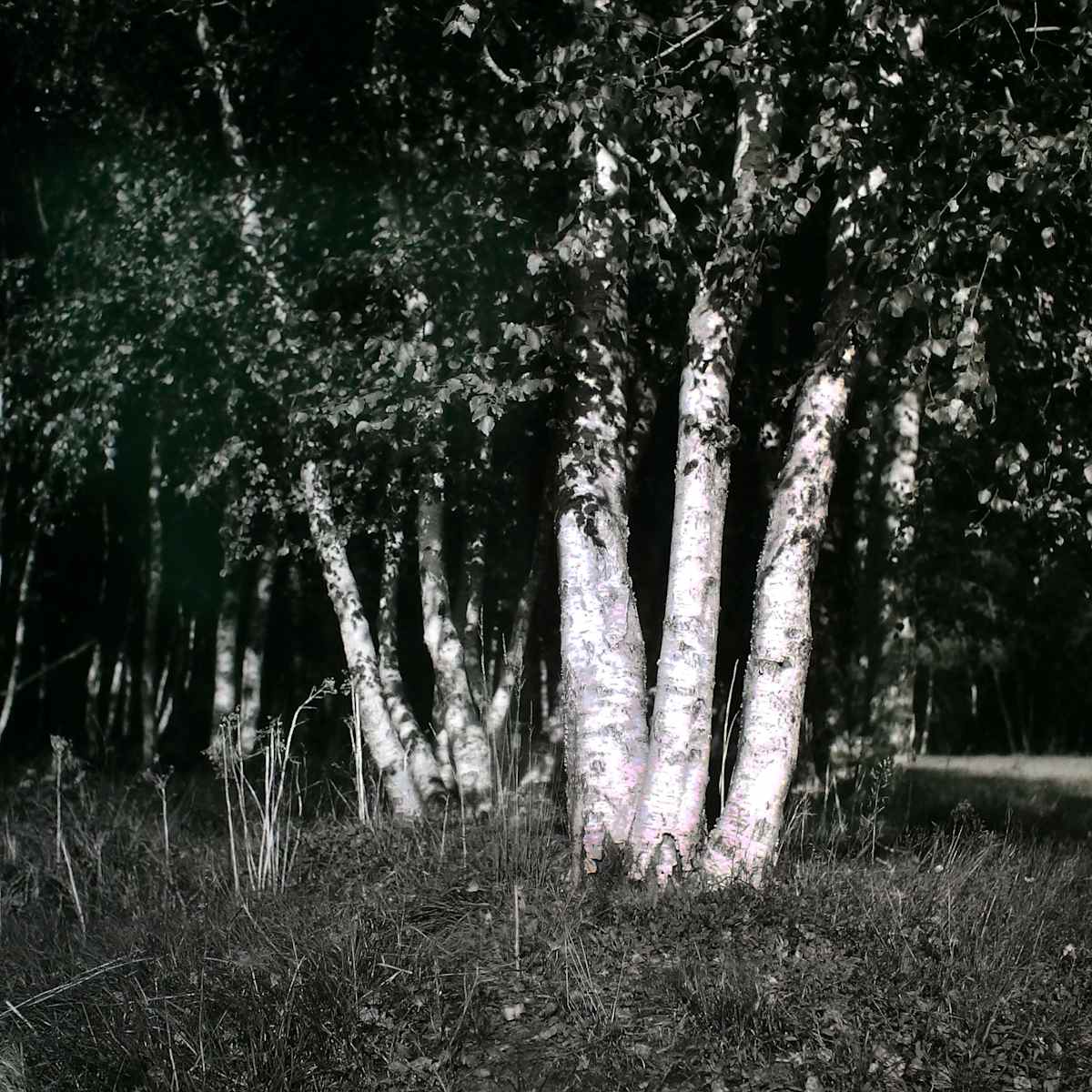 September by Marcel Kruse, Image 8.