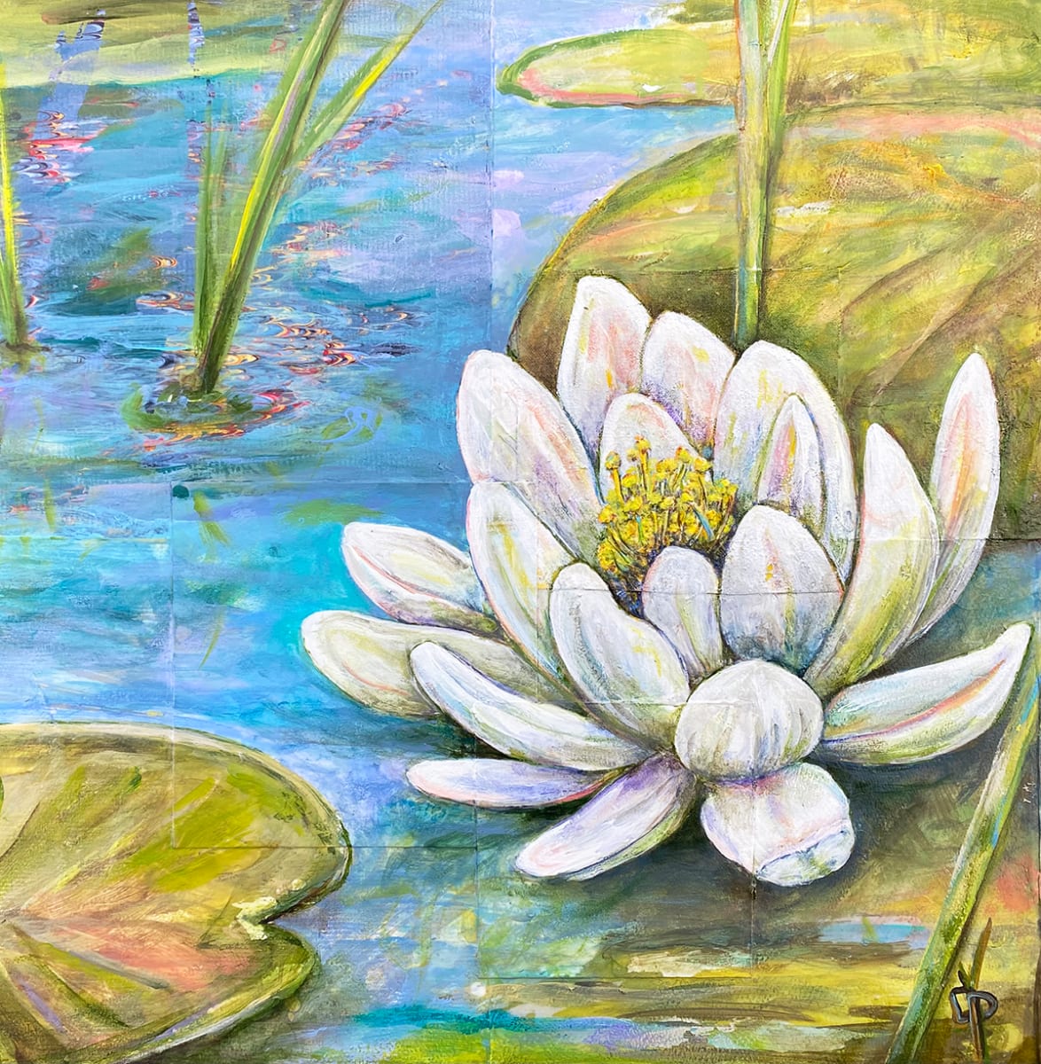 Boston Pond Lily by Delphine Peller   Image: Boston Pond Lily