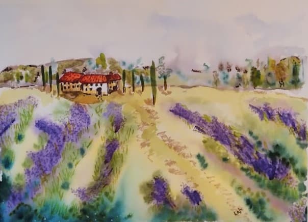 Lavande / Lavender by Helene Montpetit 