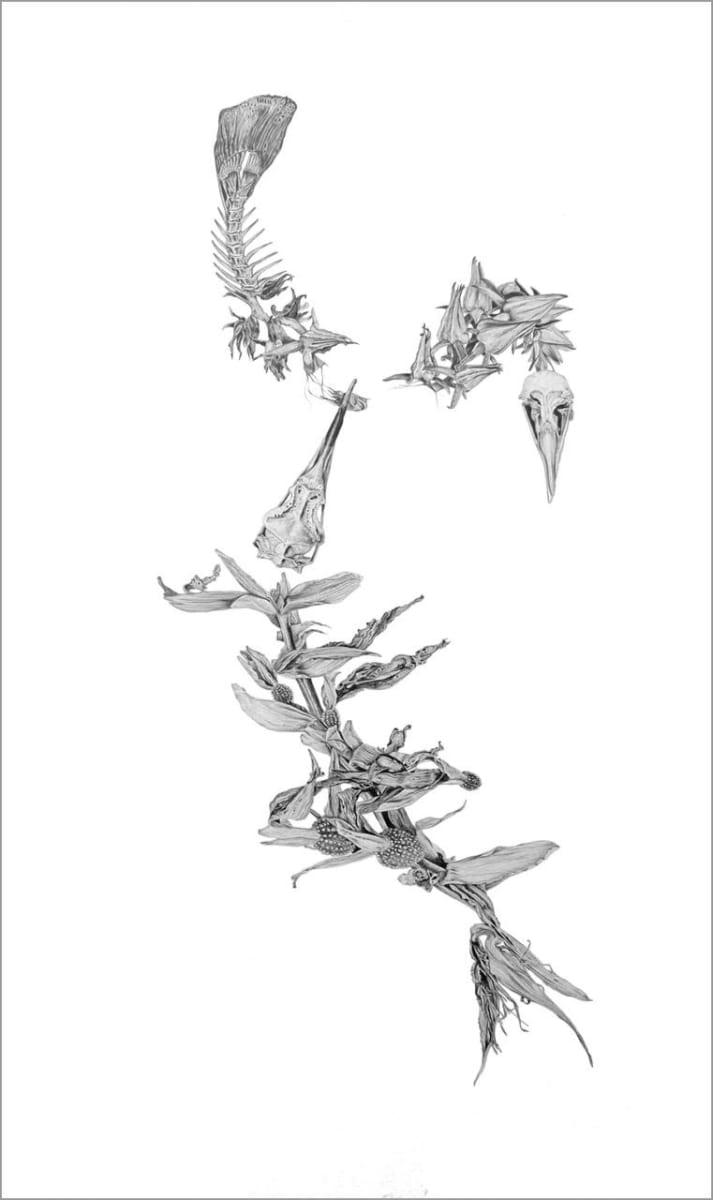 Food Chain from the collection of Tenth Street Gallery Artwork Archive