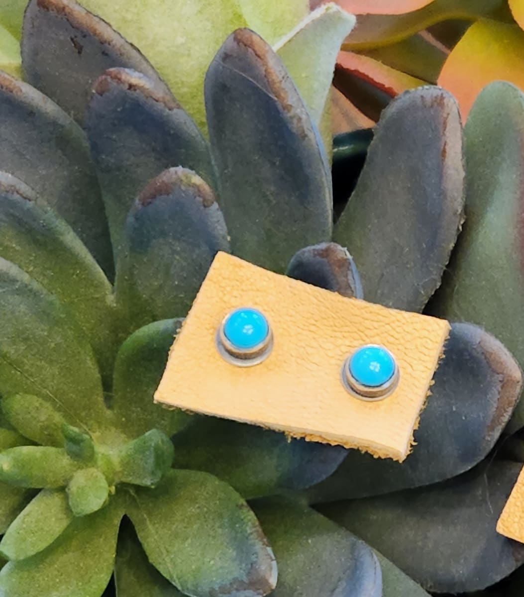 Pragmatic Piercings - "Tell Me About It" Stud Earrings - Sleeping Beauty Turquoise by Shasta Brooks  Image: All Art © Shasta Brooks Studio LLC