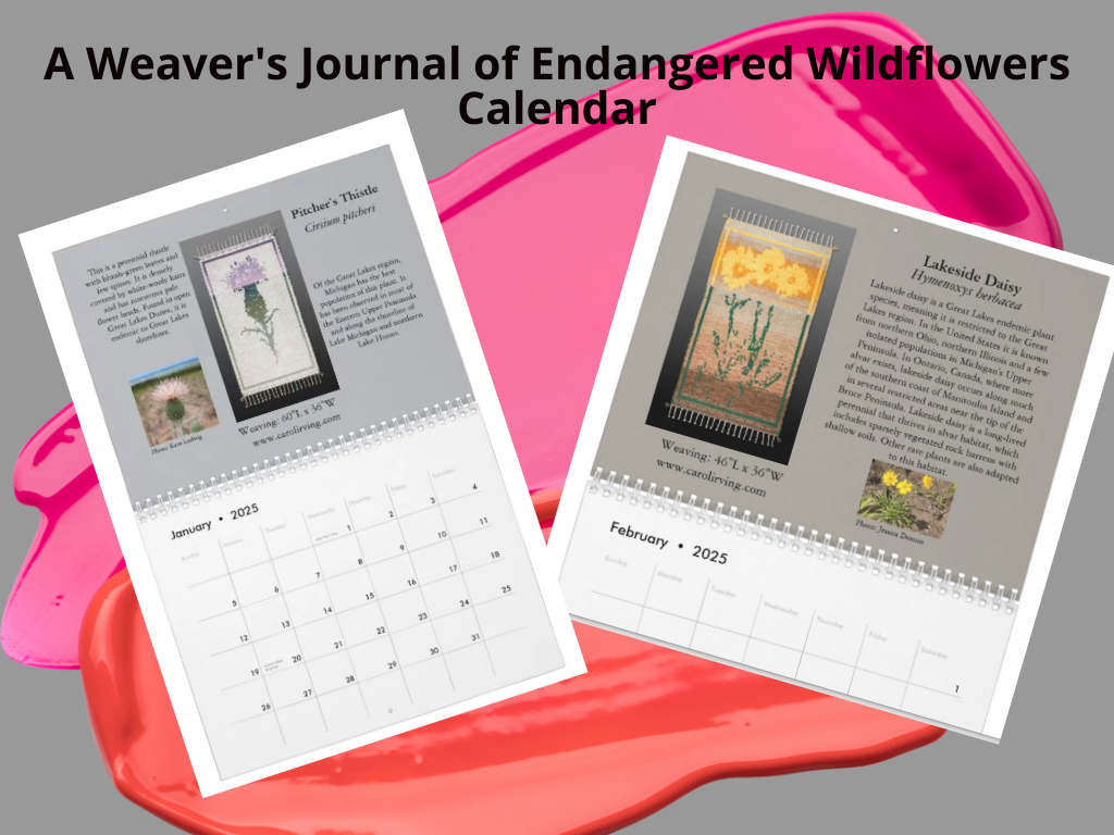 Calendar - A Weaver's Journal of Endangered Wildflowers by Carol Irving  Image: 12 Months of Amazing Wildflower Photos
