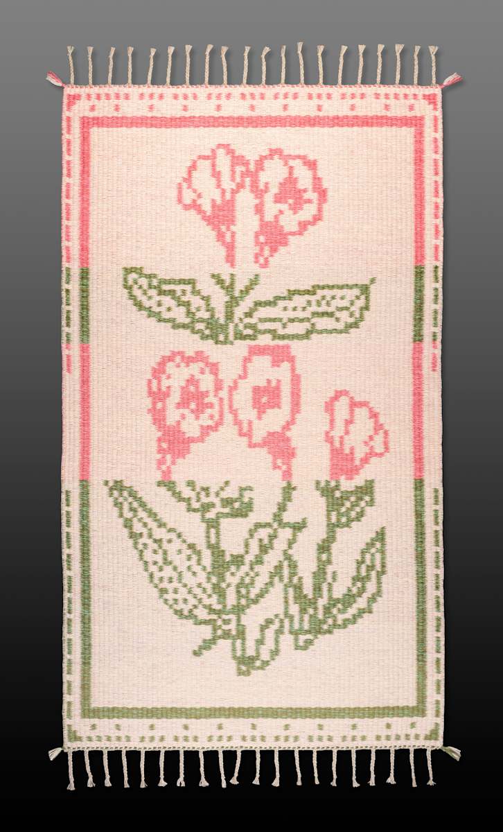 False Foxglove - ( Agalinis purpurea) by Carol Irving, Image 1.