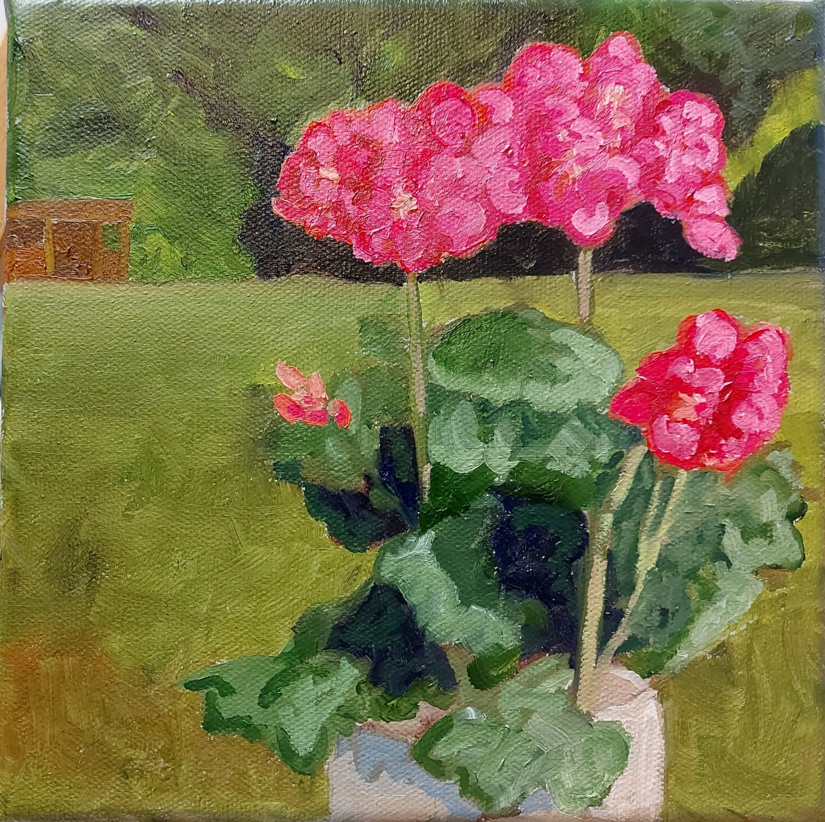 Backyard Geraniums by Susan Merritt 