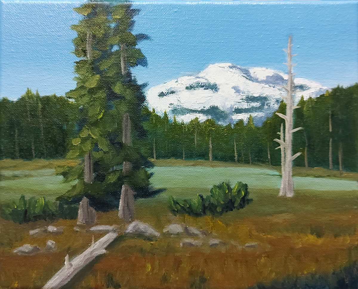 Paradise Meadows by Susan Merritt 