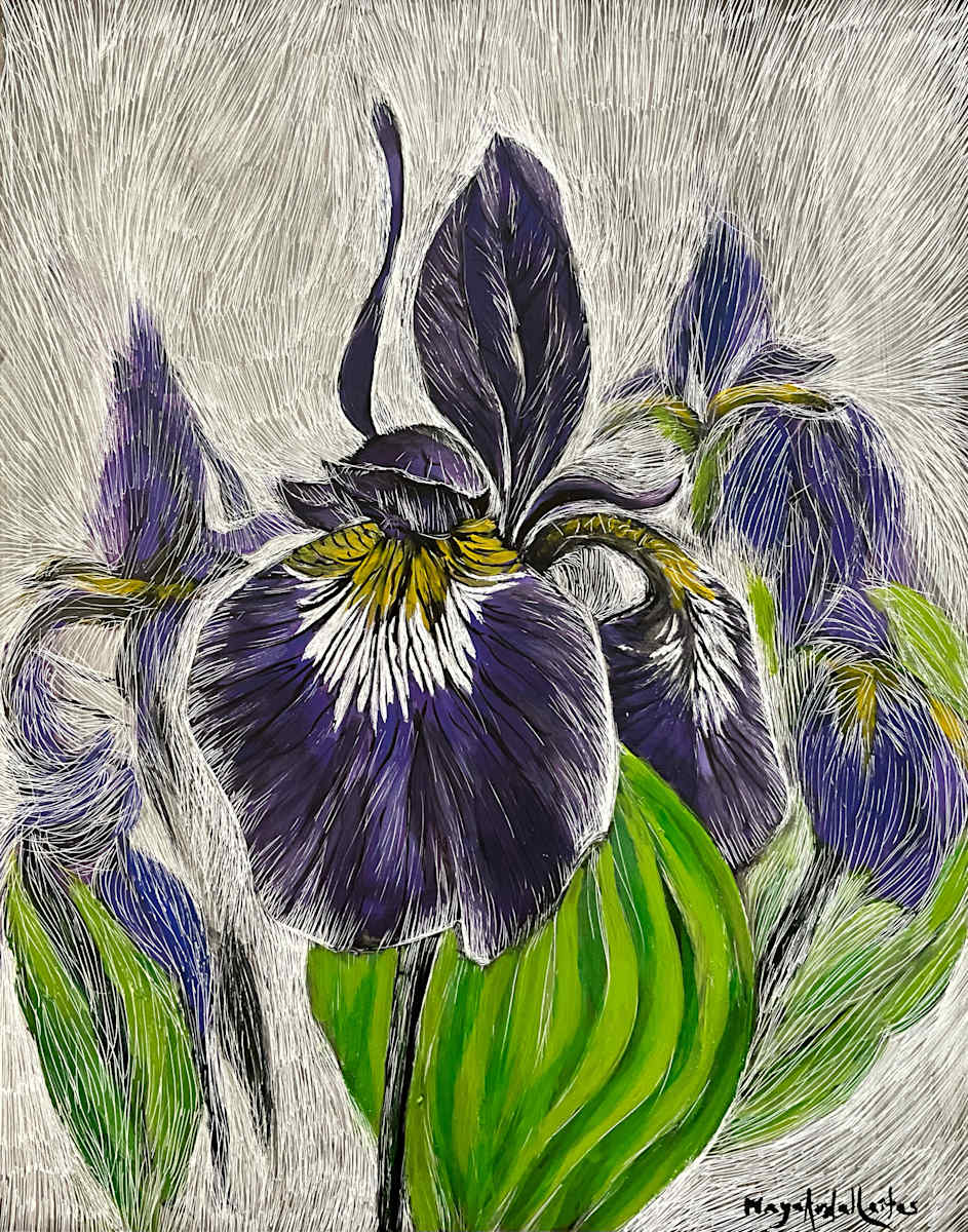 Irises by Maya Leites 