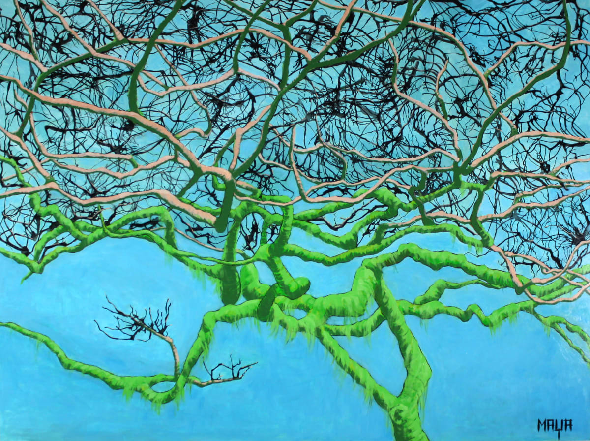 Apple Tree by Maya Leites  Image: A dreamlike vision of a mossy apple tree on a sunny winter day; sunlight, life, and endless connections.