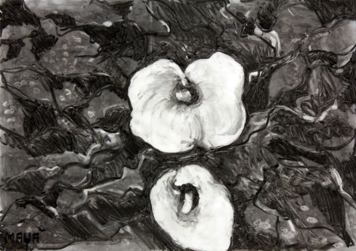 Cala Lilies by Maya Leites 