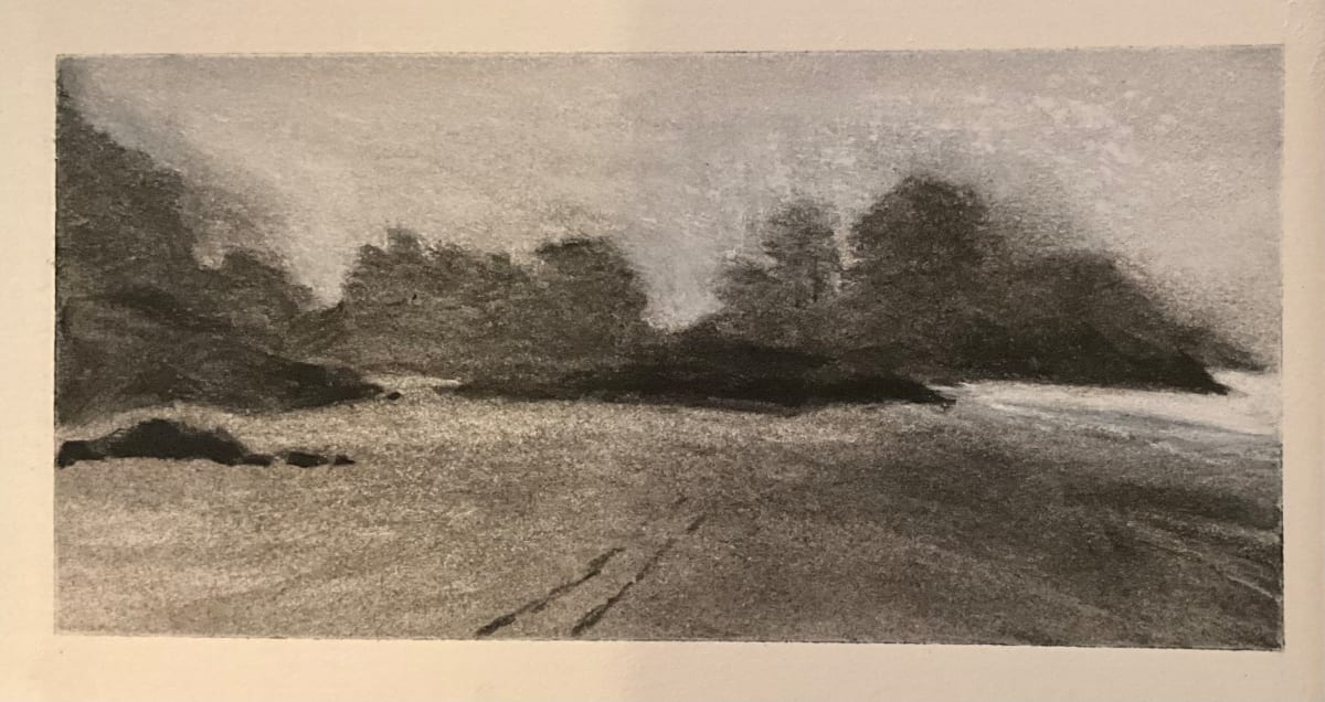 Sketchbook: Tofino 3 by Maya Leites 