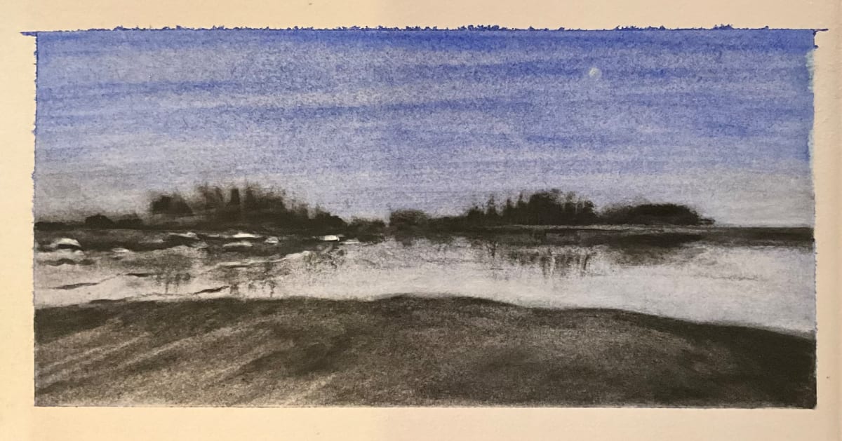 Sketchbook: Tofino 2 by Maya Leites 