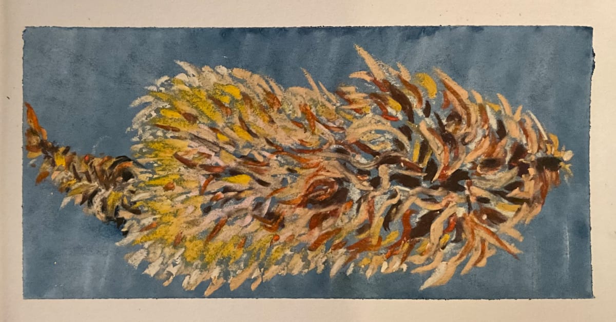 Sketchbook: Tofino 5 by Maya Leites, Image 1.