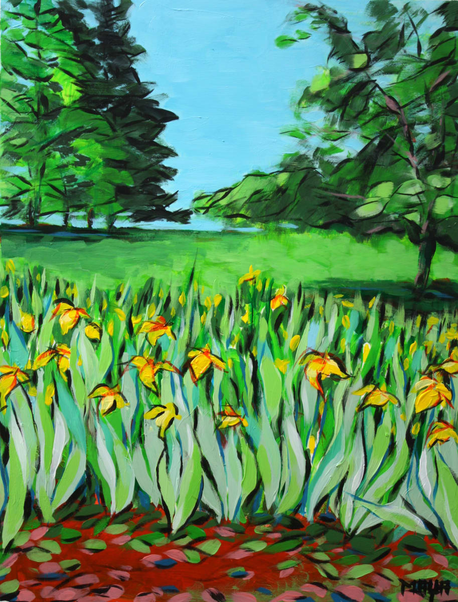 Irises (Orcas Island Series) by Maya Leites  Image: Orcas Island Series