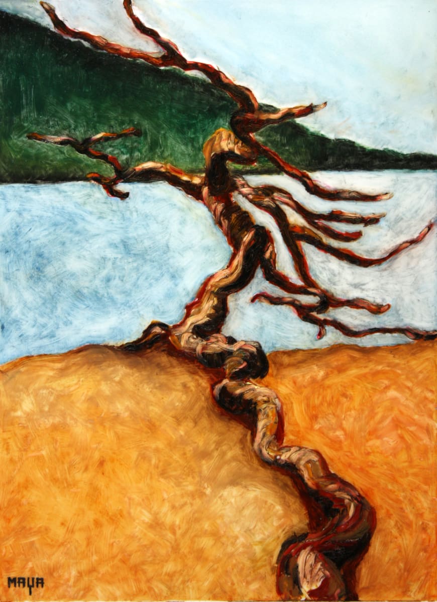 Creeping Tree (Orcas Island Series) by Maya Leites  Image: Orcas Island Series