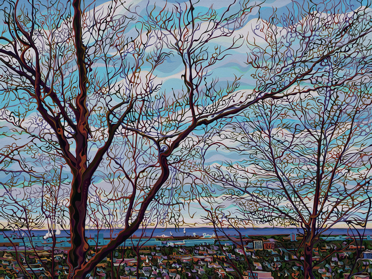 Mountain View Mesmerization by Amy Ferrari, Image 1.