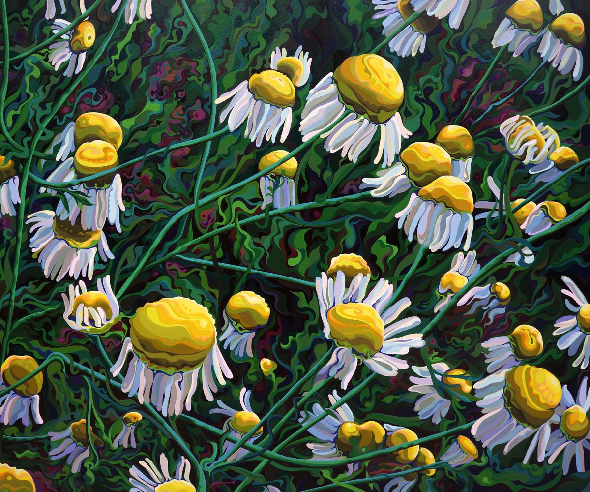 Bombastic Daisy Survival Opera by Amy Ferrari, Image 1.