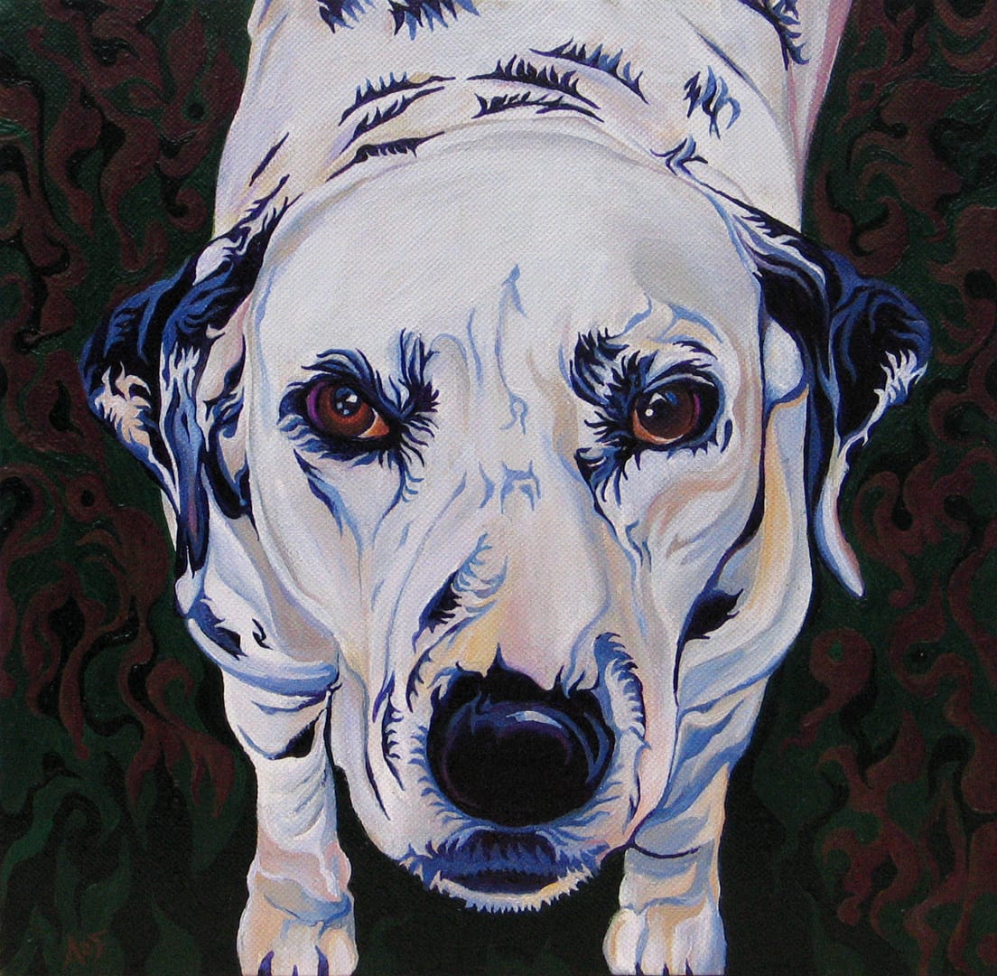 Pepper by Amy Ferrari 