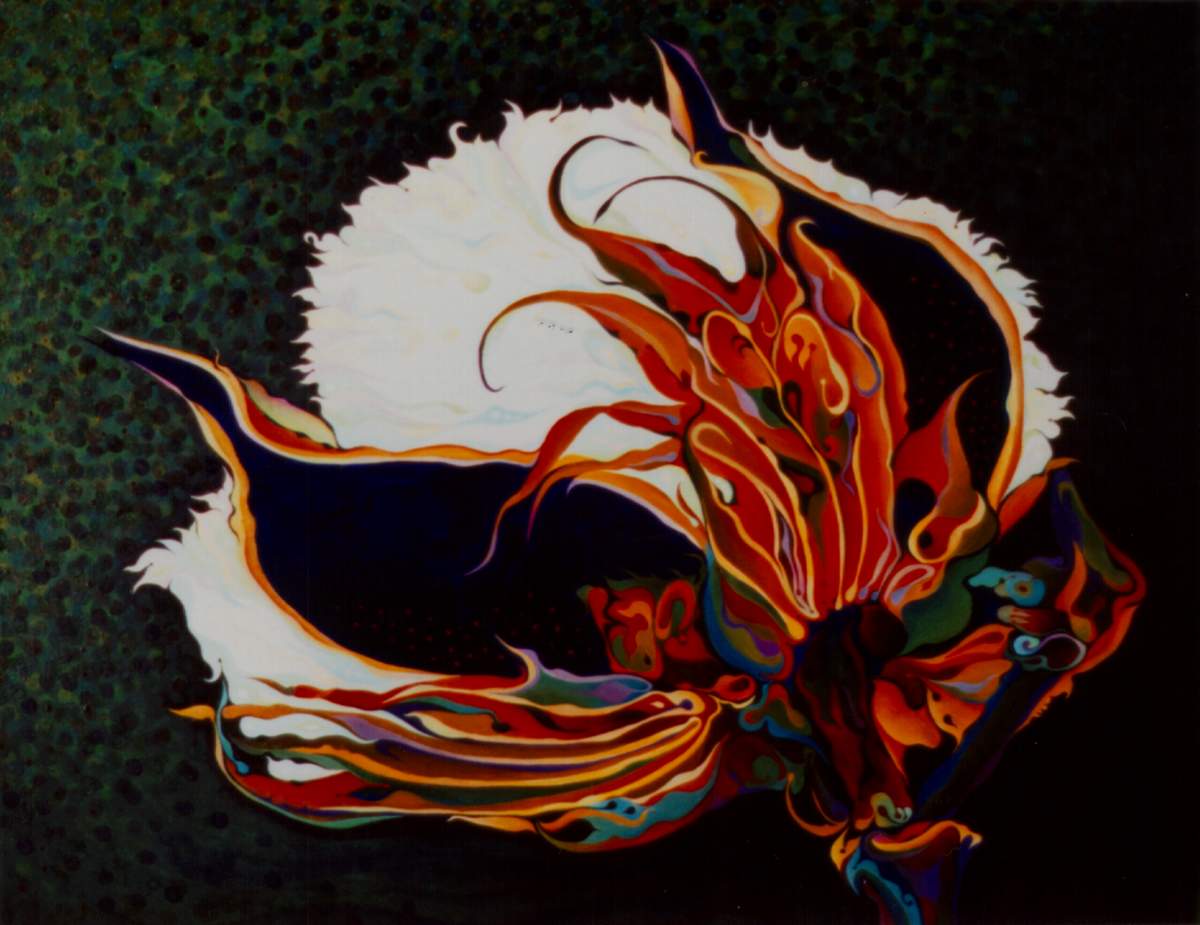 Cotton Boll by Amy Ferrari, Image 1.