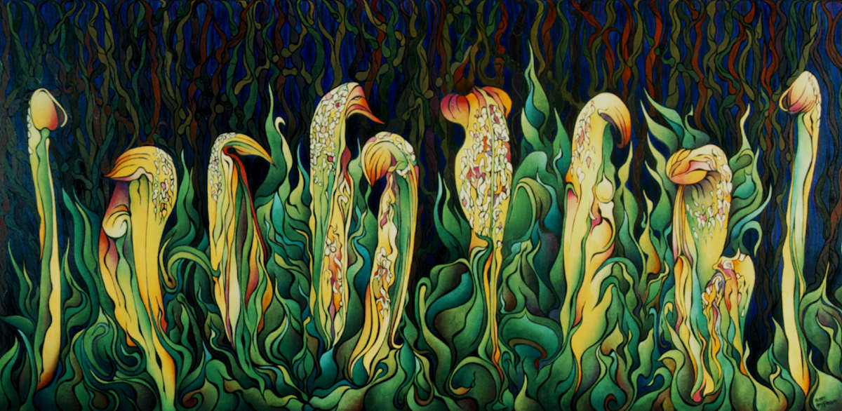 Pitcher Plant Promenade by Amy Ferrari, Image 1.