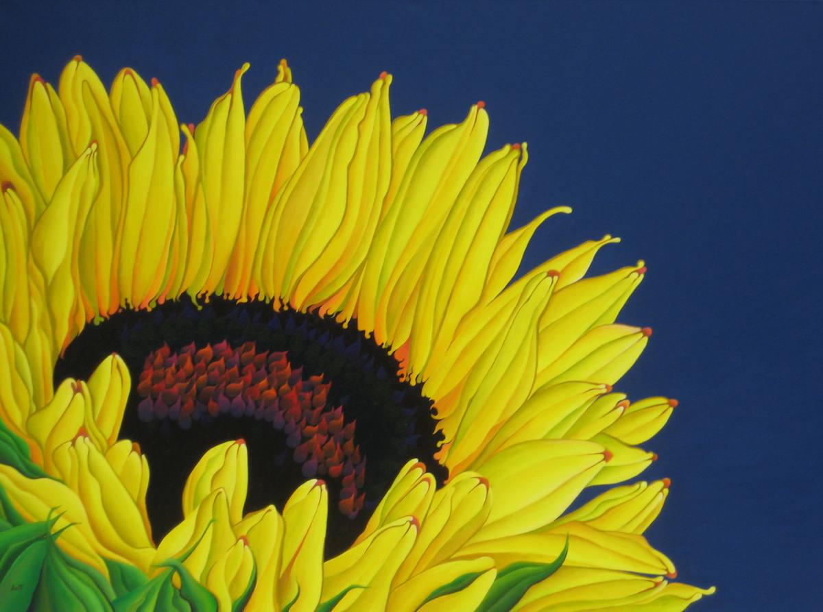 SunRay Super Star by Amy Ferrari, Image 1.