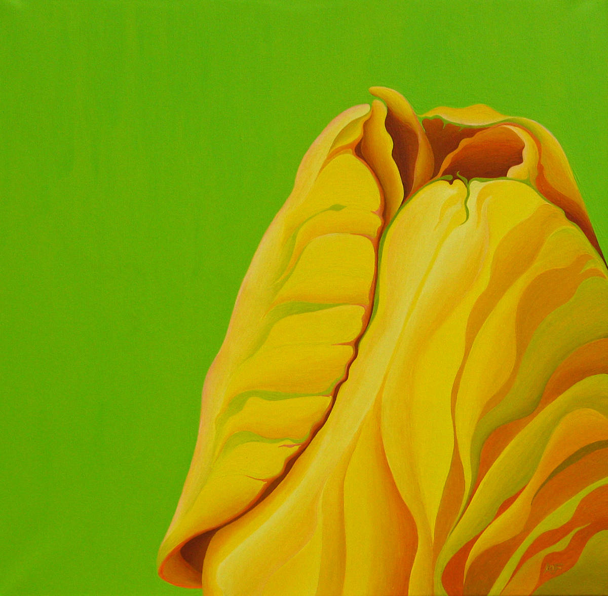 Yellow SomeBuddy by Amy Ferrari, Image 1.