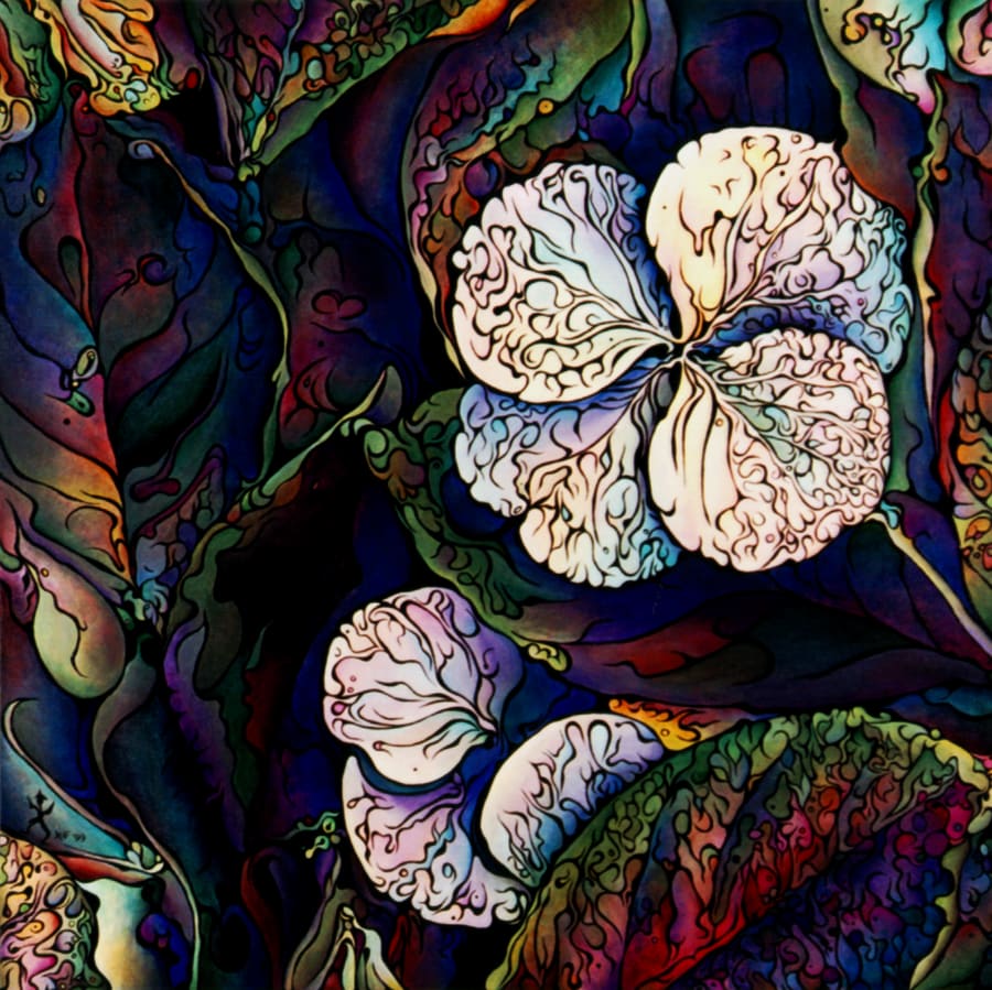 Variegation Querve by Amy Ferrari 