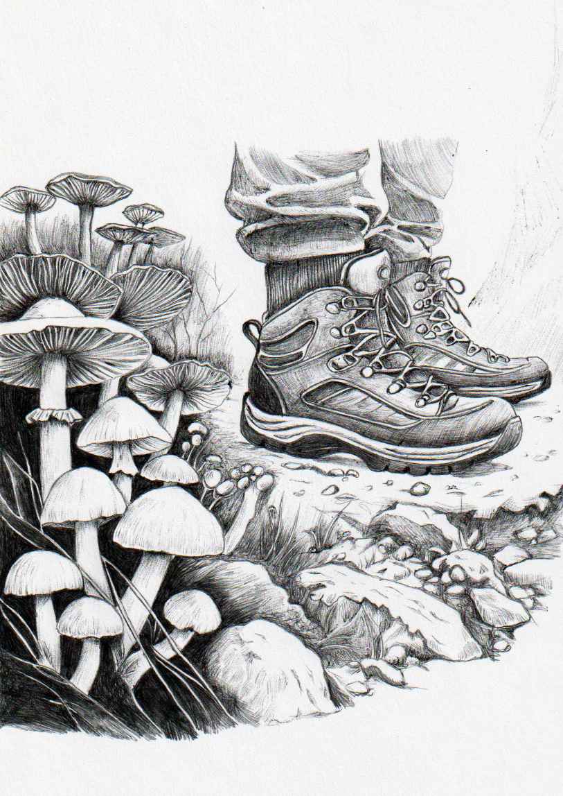 Hike by Somaya Etemad 