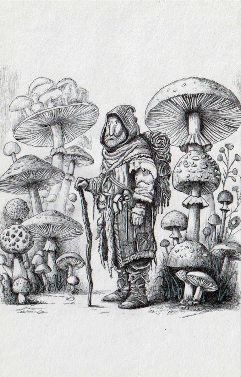 Nomadic by Somaya Etemad 