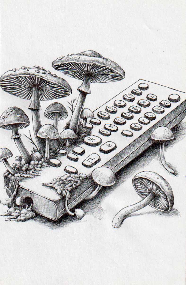 Remote by Somaya Etemad, Image 1.