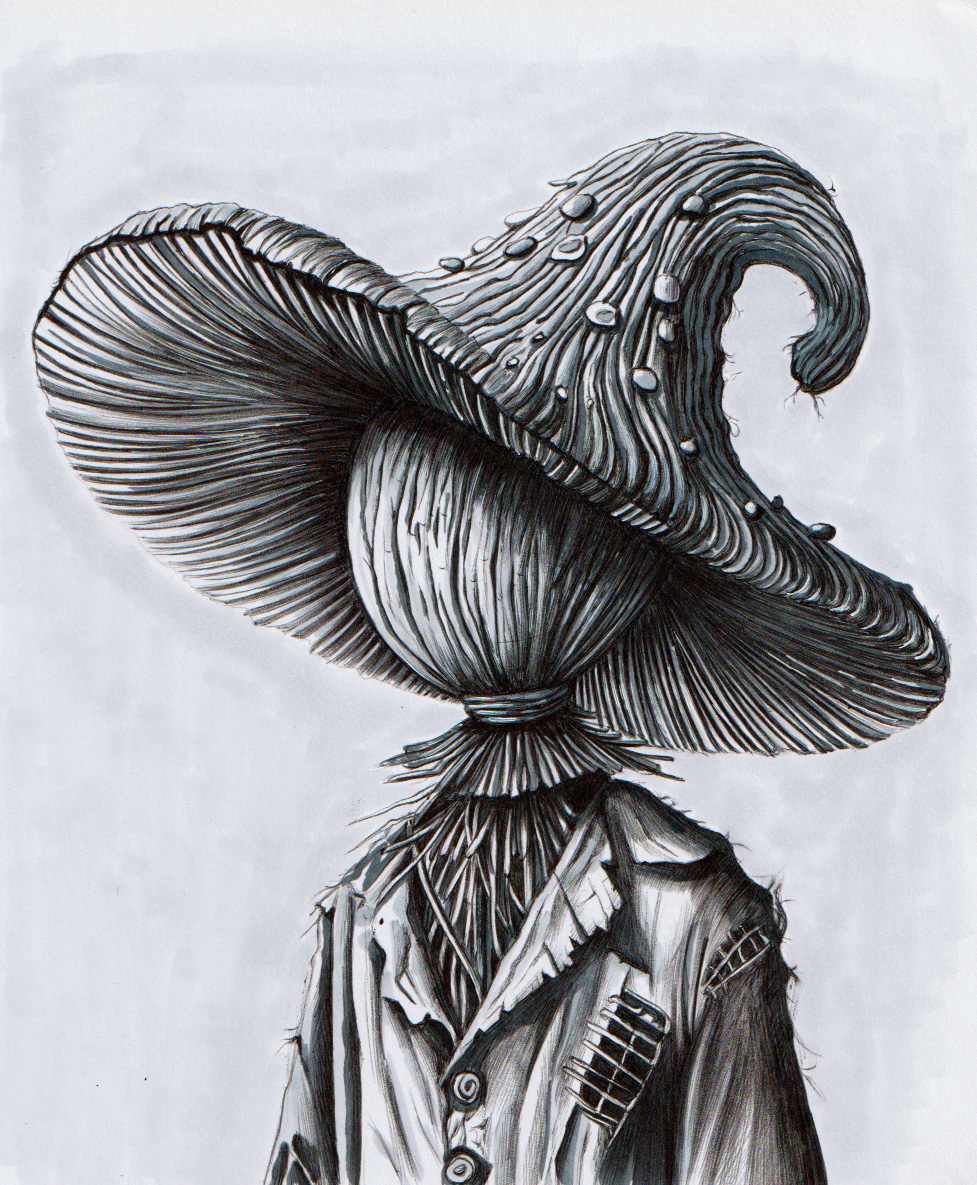 Scarecrow by Somaya Etemad 