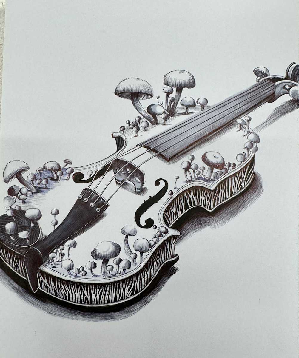 Violin by Somaya Etemad 