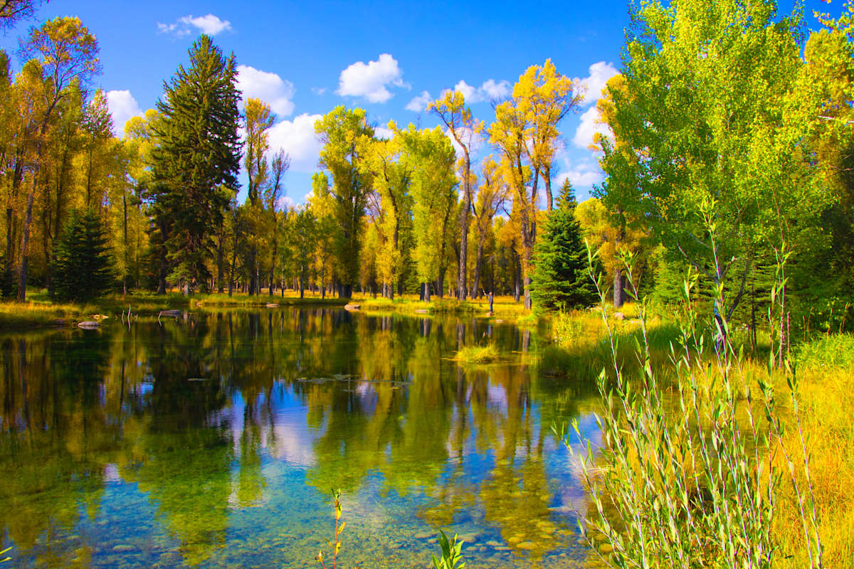 Skip's Pond 2014 6/100 by Lee Cooper, Image 1.