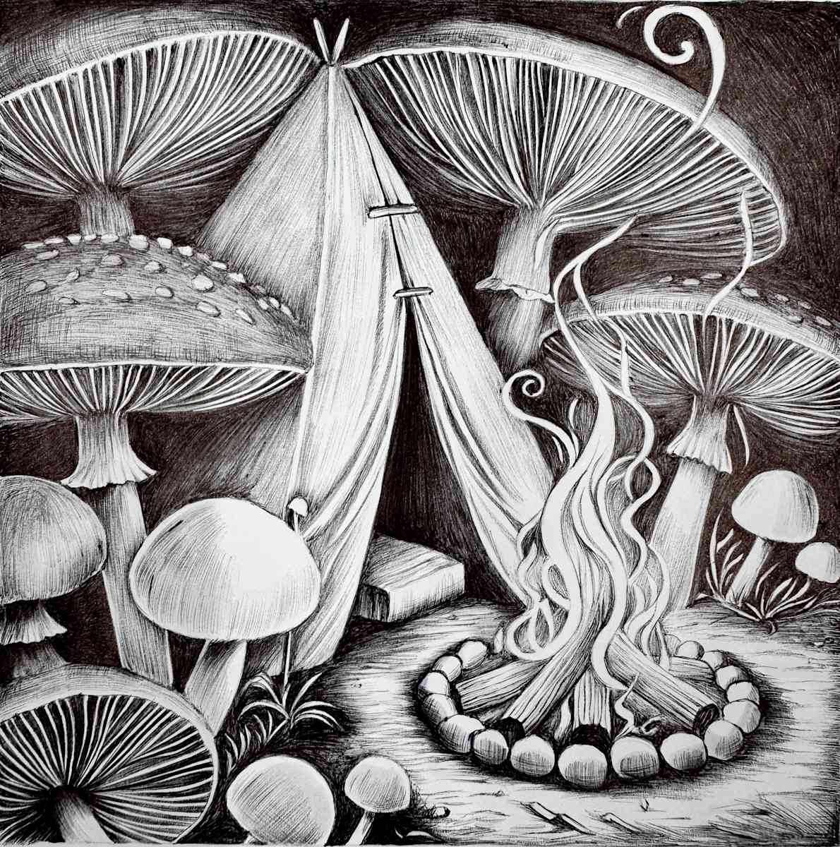 Camp by Somaya Etemad 