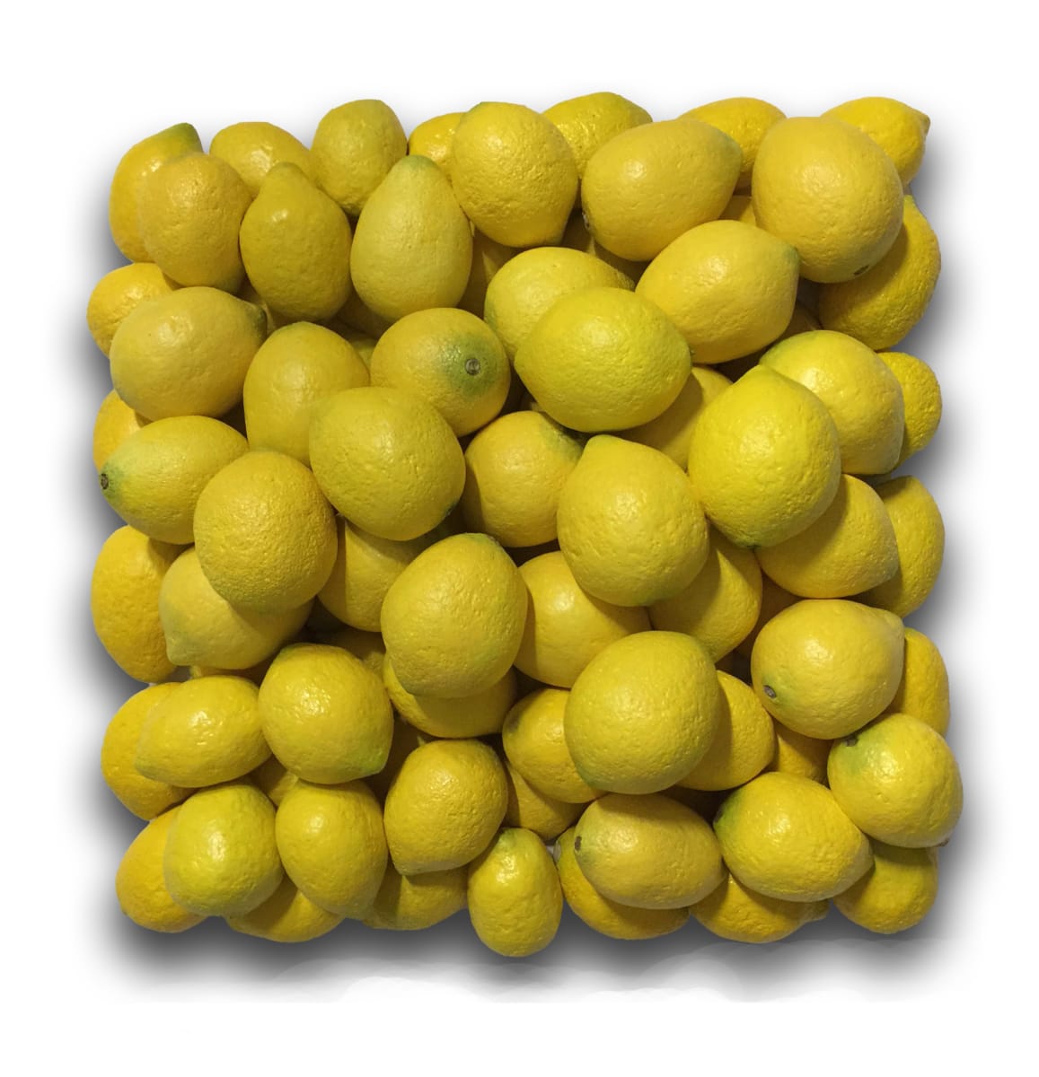 "a bunch of lemons" by Gary Polonsky 