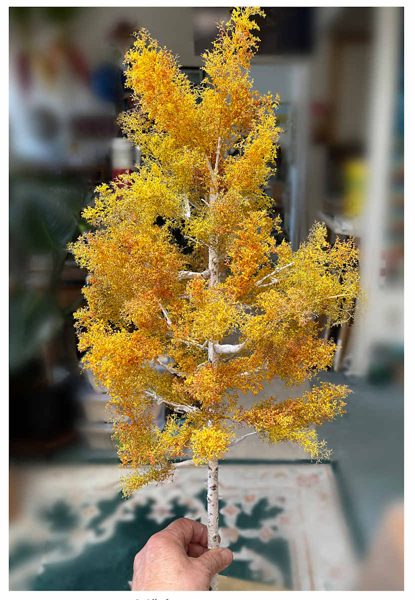 24" Aspen tree by Gary Polonsky, Image 1.
