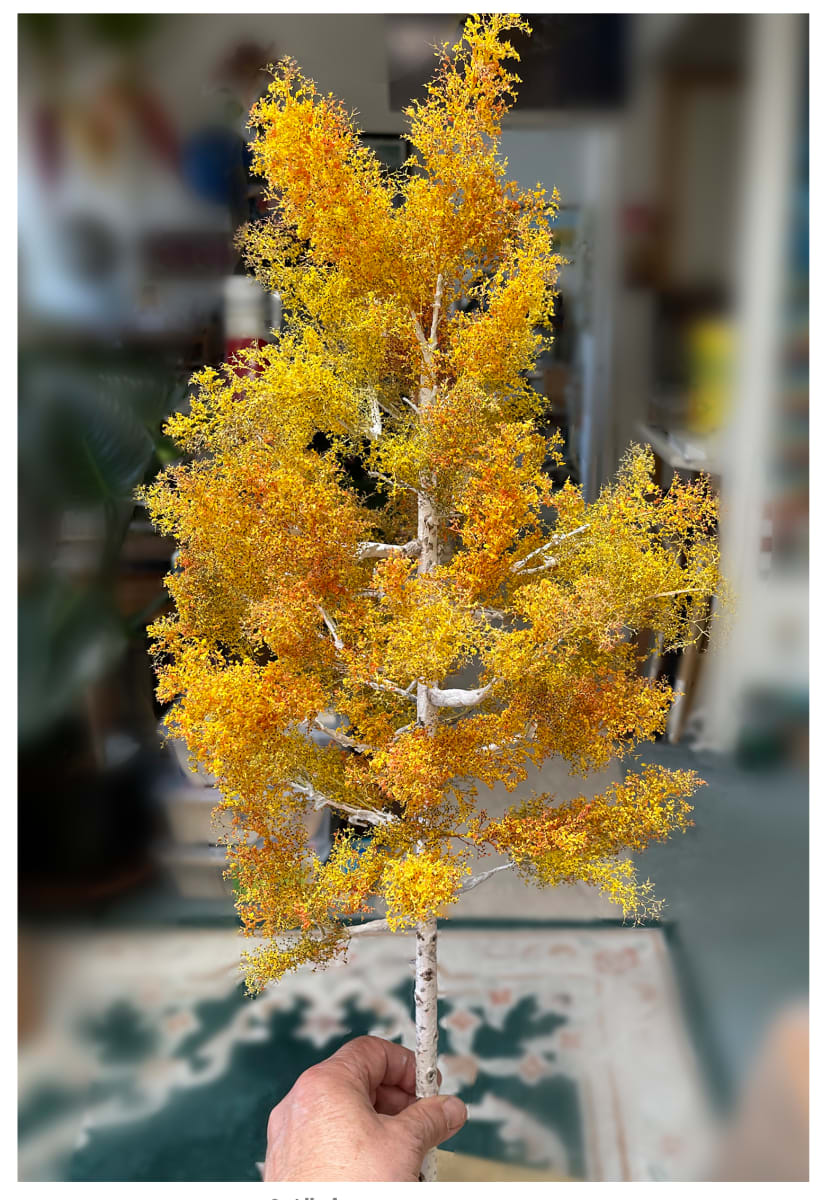 24" Aspen tree by Gary Polonsky, Image 1.