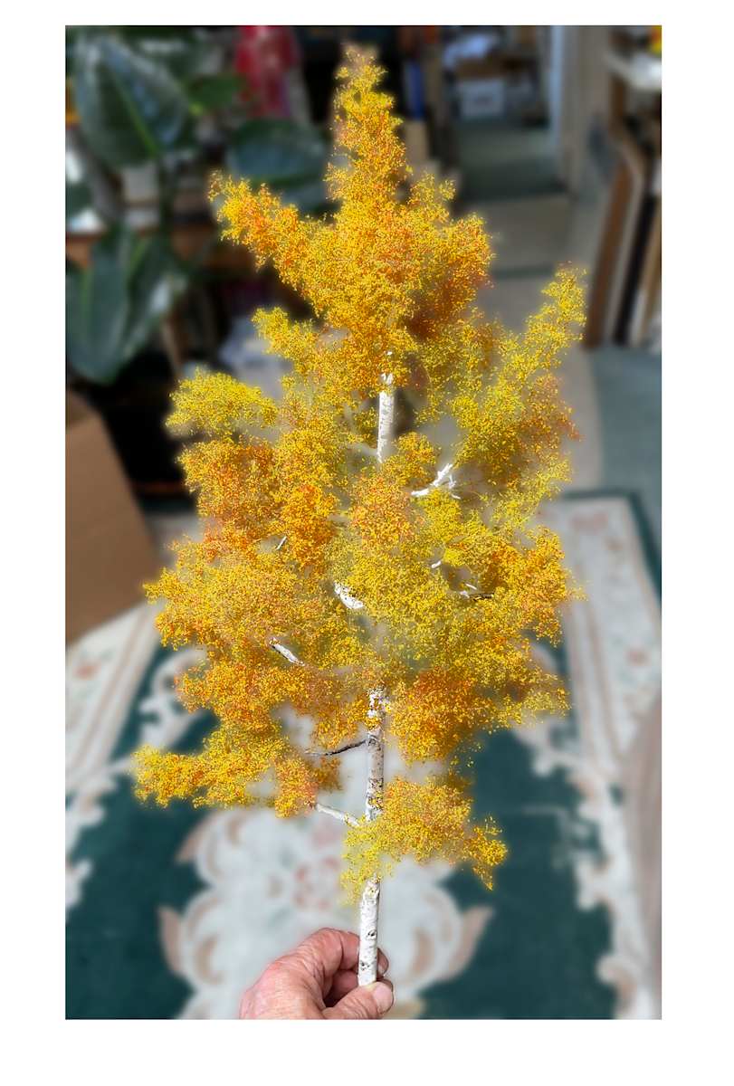 27" Aspen tree by Gary Polonsky, Image 1.
