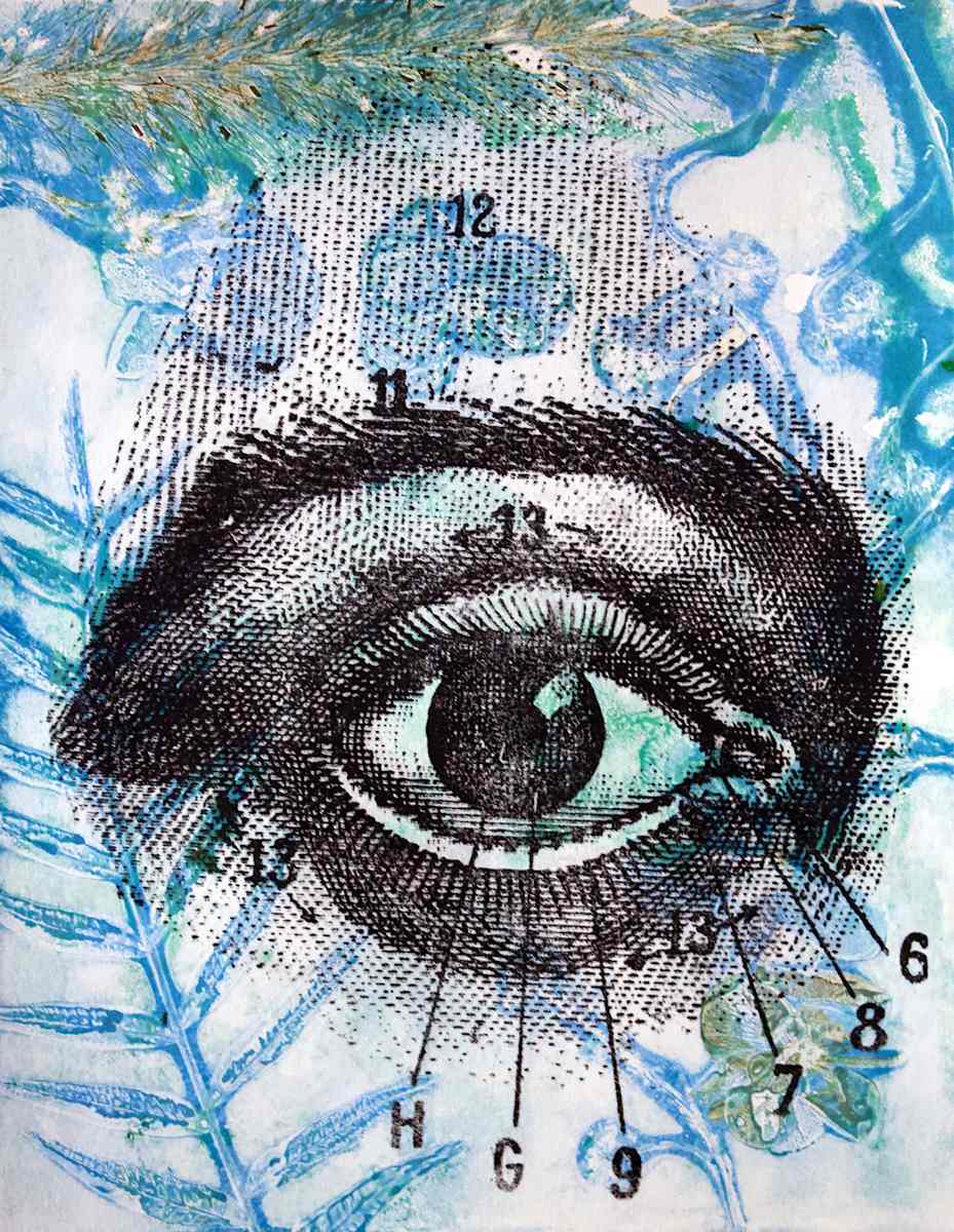 Seeing 3 by Karen Fiorito 