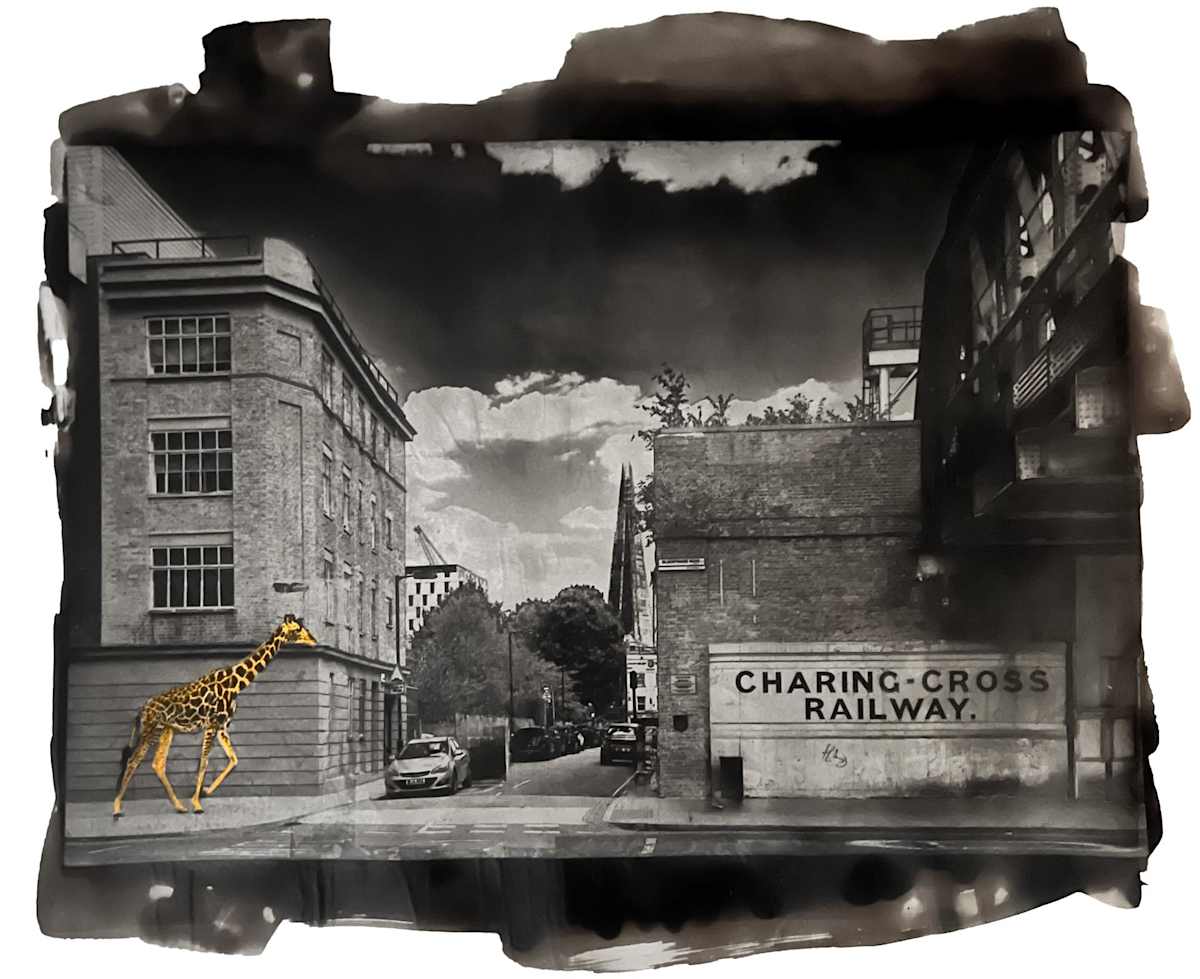 Giraffe at Charing Cross, Paal Anand by California Art League 