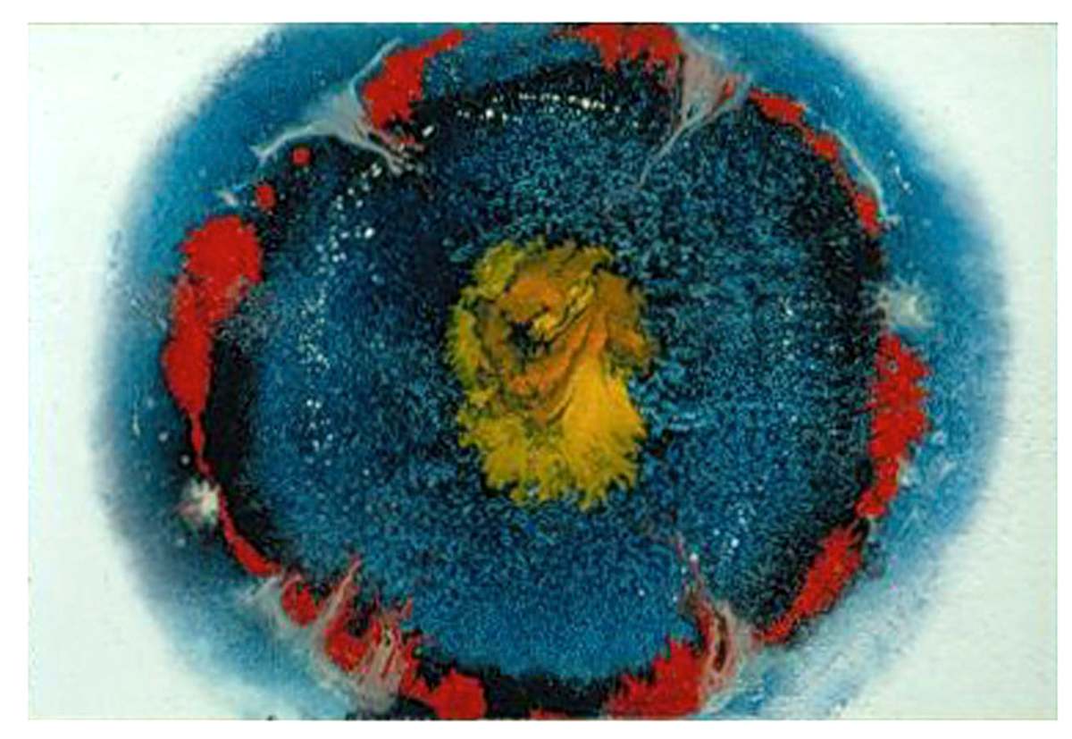 Abstract Eye by Gary Polonsky 