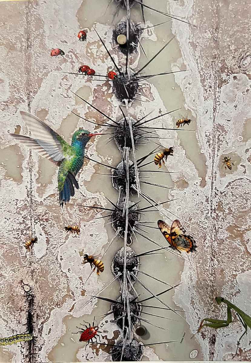 Agave & Hummer by Wendy Tigerman 